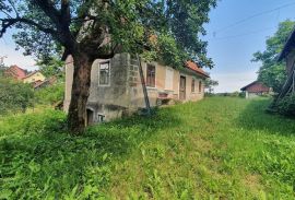 Lukovdol - autohtona kuća, Vrbovsko, House