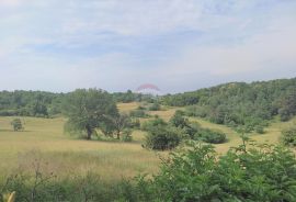 Istra,Grožnjan,šarmatna Istarska kamena kuća, Grožnjan, Famiglia