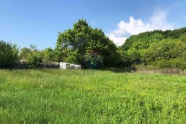 Istra, Tinjan, poljoprivredno zemljište 3928 m2, Tinjan, Land