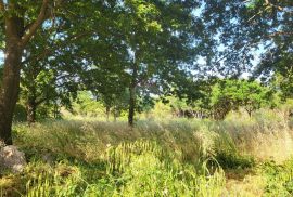 Istra, Medulin, građevinsko zemljište sa idejnim projektom na odličnoj lokaciji, Medulin, Terrain