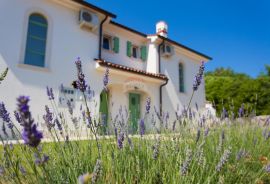 Otok Krk, Kras tri ville u nizu okružene prirodom, Dobrinj, Kuća