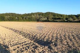 Istra, Cerovlje, poljoprivredno zemljište 18775m2, Cerovlje, Land