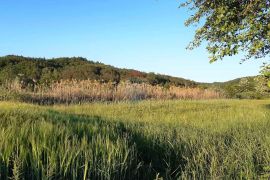 Istra, Cerovlje, poljoprivredno zemljište 18775m2, Cerovlje, Terrain