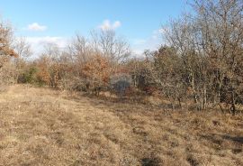 Juršići, Istra, poljoprivredno zemljište 19770 m2, Svetvinčenat, أرض