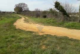 Istra,Medulin,poljoprivredno zemljište na lijepoj lokaciji !, Medulin, Tierra