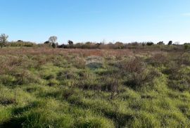 Istra,Medulin,poljoprivredno zemljište na lijepoj lokaciji !, Medulin, Land