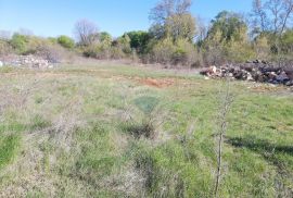 Istra, Mrgani - građevinsko zemljište na mirnoj lokaciji, Kanfanar, Land