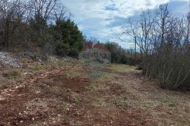 Okolica Vodnjana, imanje za razvoj sa građevinskom dozvolom, Vodnjan, Land