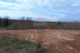 Okolica Vodnjana, imanje za razvoj sa građevinskom dozvolom, Vodnjan, Terrain