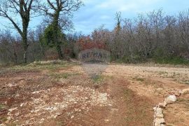 Okolica Vodnjana, imanje za razvoj sa građevinskom dozvolom, Vodnjan, Terreno