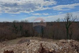 Okolica Vodnjana, imanje za razvoj sa građevinskom dozvolom, Vodnjan, Terreno