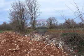 Okolica Vodnjana, imanje za razvoj sa građevinskom dozvolom, Vodnjan, Terrain