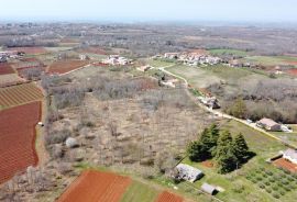 ISTRA, VIŽINADA - Građevinsko zemljište 1714 m2 + 7056 m2 poljoprivredno, Vižinada, Земля