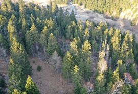 Građevinski teren sa velikim poljoprivrednim dijelom, Delnice, Terra