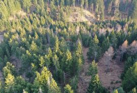 Građevinski teren sa velikim poljoprivrednim dijelom, Delnice, Terra