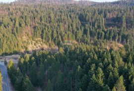 Građevinski teren sa velikim poljoprivrednim dijelom, Delnice, Tierra