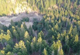 Građevinski teren sa velikim poljoprivrednim dijelom, Delnice, Tierra