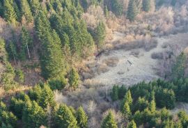 Građevinski teren sa velikim poljoprivrednim dijelom, Delnice, Terra