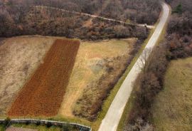 KANFANAR, OKOLICA - Građevinsko zemljište 3708 m2, Kanfanar, Zemljište