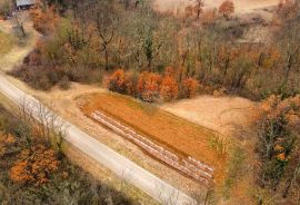 ISTRA, ŽMINJ - Građevinsko zemljište na osamini, Žminj, Γη