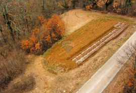 ISTRA, ŽMINJ - Građevinsko zemljište na osamini, Žminj, Terrain