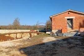 Istra, Višnjan okolica, imanje s dvije kuće, Višnjan, House