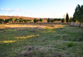 ISTRA, KANFANAR - Kompleks od 2 kuće i 6052 m2 građevinskog zemljišta s pogledom na more, Kanfanar, Ev