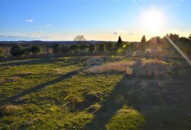 ISTRA, KANFANAR - Kompleks od 2 kuće i 6052 m2 građevinskog zemljišta s pogledom na more, Kanfanar, Casa