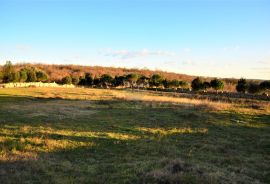 ISTRA, KANFANAR - Kompleks od 2 kuće i 6052 m2 građevinskog zemljišta s pogledom na more, Kanfanar, بيت