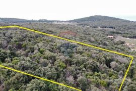 Rovinj,parcela sa otvorenim pogledom na more 4400m2, Rovinj, أرض