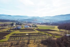 BUZET-građevinski teren s panoramskim pogledom, Buzet, Terreno