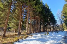 Jasenak - građevinski teren 1507 m2, Ogulin, Tierra