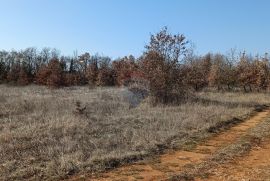 Istra, Svetvinčenat, građevinsko zemljište ugostiteljsko turističke namjene, Svetvinčenat, Terrain