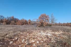 Istra, Svetvinčenat, građevinsko zemljište ugostiteljsko turističke namjene, Svetvinčenat, Tierra