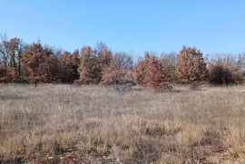 Istra, Svetvinčenat, građevinsko zemljište ugostiteljsko turističke namjene, Svetvinčenat, Terrain