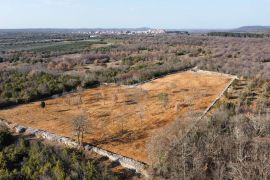 BALE - Poljoprivredno zemljište sa suhozidom 11470 m2, Bale, Tierra