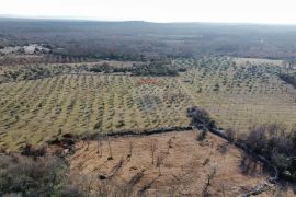 BALE - Prelijepo poljoprivredno zemljište 22821m2, Bale, Zemljište