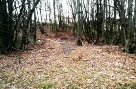 Klana, građevinsko zemljište 3091m2 na dobroj lokaciji, Klana, Terreno