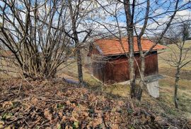 Gorski Kotar - Vrbovsko gospodarska kućica i teren 1.300 m2, Vrbovsko, Terrain