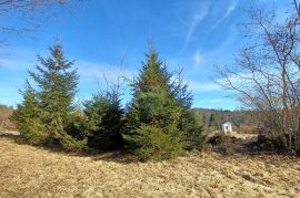 Završje - građevinsko/poljoprivredni teren 8650 m2, Brod Moravice, أرض