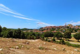 Vrsar - Građevinsko zemljište s prekrasnim pogledom na more i Vrsar, Vrsar, Земля