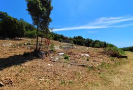 Vrsar - Građevinsko zemljište s prekrasnim pogledom na more i Vrsar, Vrsar, Land