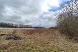 Sveta Nedelja, građevinsko zemljište 4790 m2, Sveta Nedelja, Land