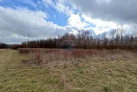 Sveta Nedelja, građevinsko zemljište 4790 m2, Sveta Nedelja, Land