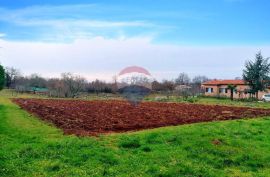 Poreč, okolica - Građevinsko zemljište, potrebna parcelacija, Poreč, Terrain