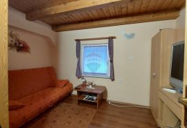 Obiteljska kuća sa apartmanom Bjelolasica, Ogulin, House