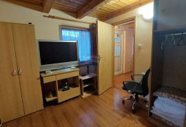 Obiteljska kuća sa apartmanom Bjelolasica, Ogulin, House