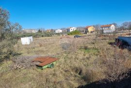 Vodnjan, Istra, građevinsko zemljište 1926 m2, Vodnjan, Land