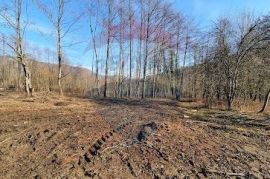 Građevinsko zemljište - Brod na Kupi, Delnice, Land