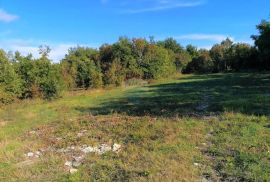 Sveti Lovreč - okolica, građevinsko i poljoprivredno zemljište na mirnoj lokaciji, Tinjan, Land